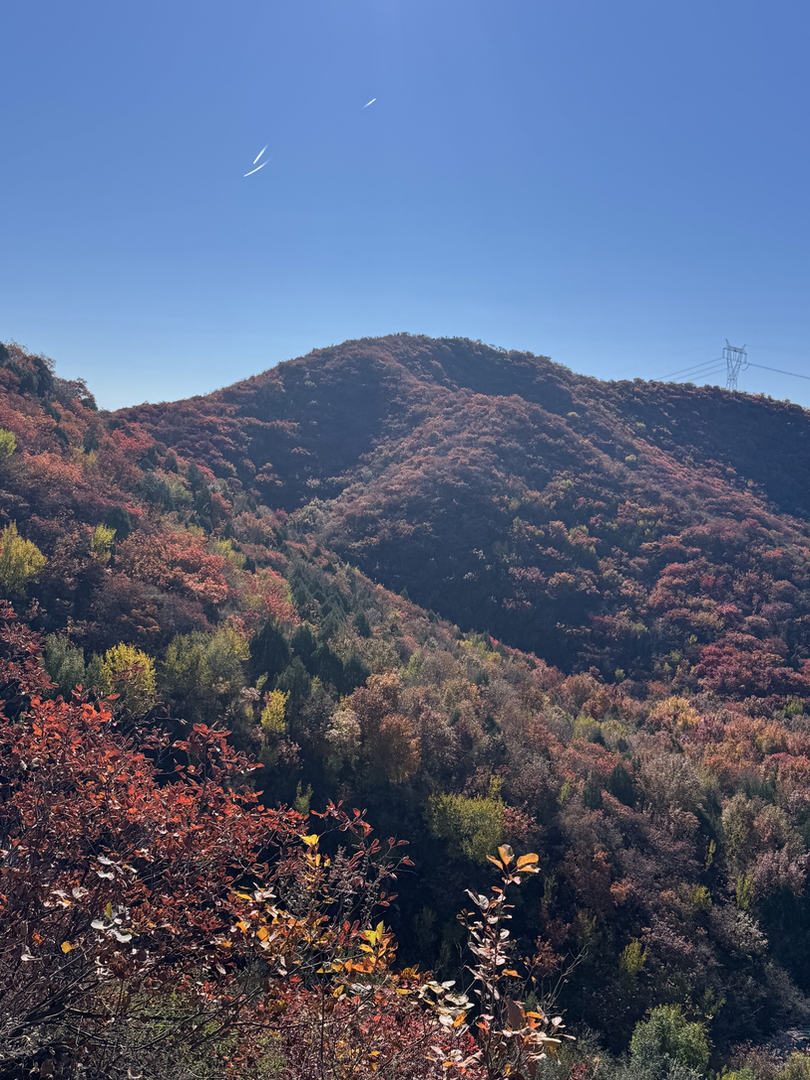 微信图片_2025-11-06_105818_516.png